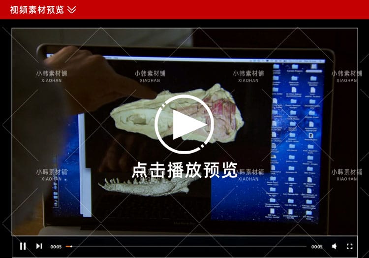 BBC生物进化纪录片《动物的崛起》中视频自媒体解说高清视频素材