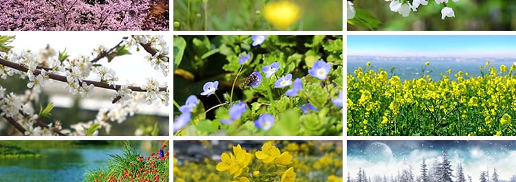春夏秋冬天四季变换花草一年四季花草雪景LED大屏幕背景视频素材