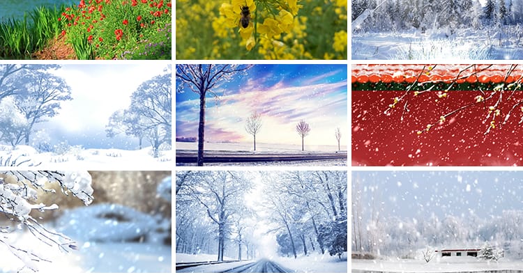 春夏秋冬天四季变换花草一年四季花草雪景LED大屏幕背景视频素材