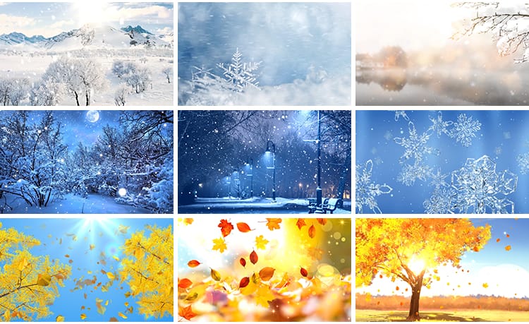 春夏秋冬天四季变换花草一年四季花草雪景LED大屏幕背景视频素材