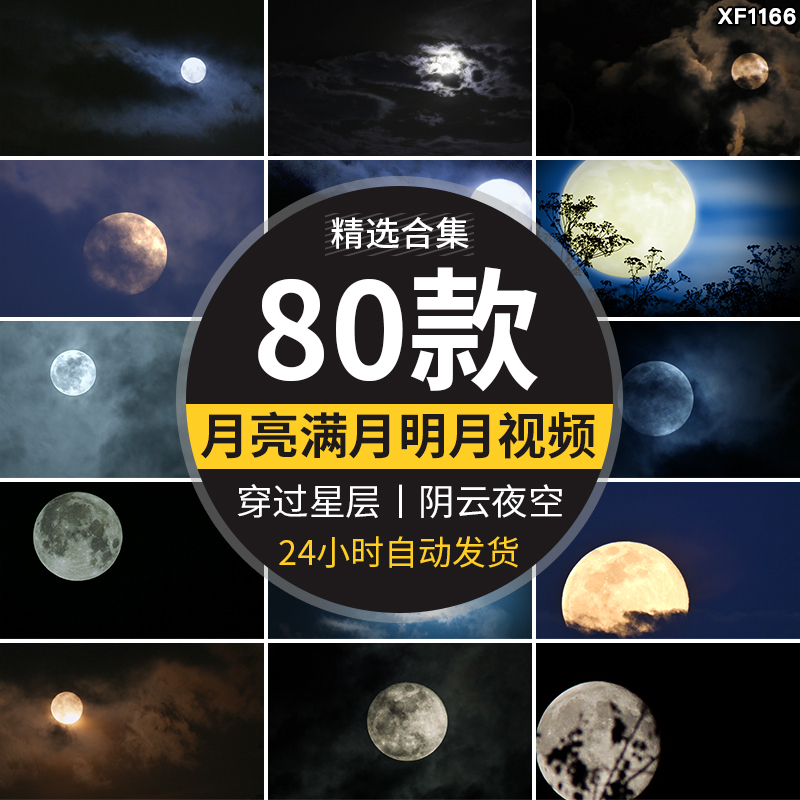 月亮实拍穿过乌云夜景阴云明月圆月满月空治愈系树枝剪影视频素材