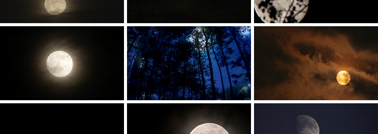 月亮实拍穿过乌云夜景阴云明月圆月满月空治愈系树枝剪影视频素材