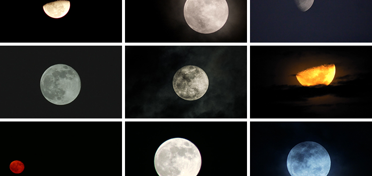 月亮实拍穿过乌云夜景阴云明月圆月满月空治愈系树枝剪影视频素材