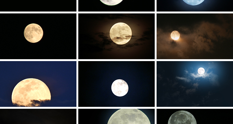 月亮实拍穿过乌云夜景阴云明月圆月满月空治愈系树枝剪影视频素材