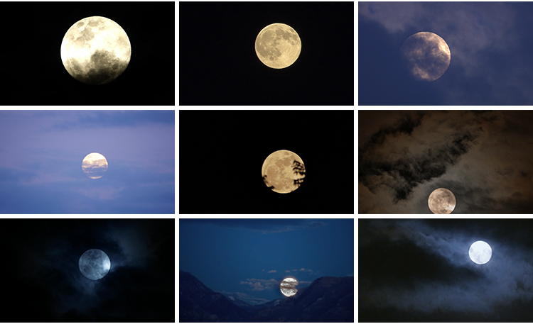 月亮实拍穿过乌云夜景阴云明月圆月满月空治愈系树枝剪影视频素材