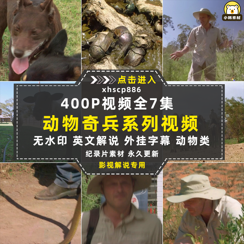 国家地理生命探索纪录片动物奇兵系列中视频自媒体解说视频素材