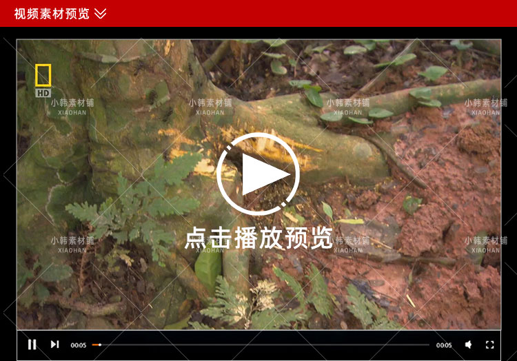 国家地理生命探索纪录片动物奇兵系列中视频自媒体解说视频素材