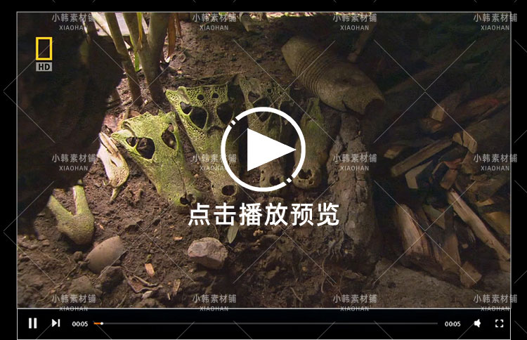 国家地理生命探索纪录片动物奇兵系列中视频自媒体解说视频素材