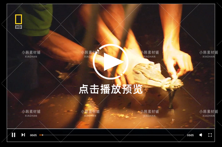 国家地理生命探索纪录片动物奇兵系列中视频自媒体解说视频素材