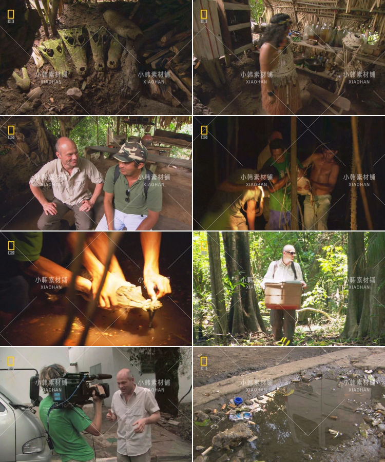 国家地理生命探索纪录片动物奇兵系列中视频自媒体解说视频素材