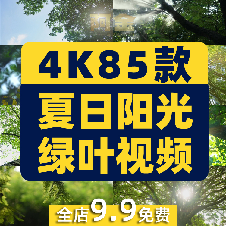 4K夏日阳光绿叶空境树叶小清新风景素材高清自然治愈系短视频背景