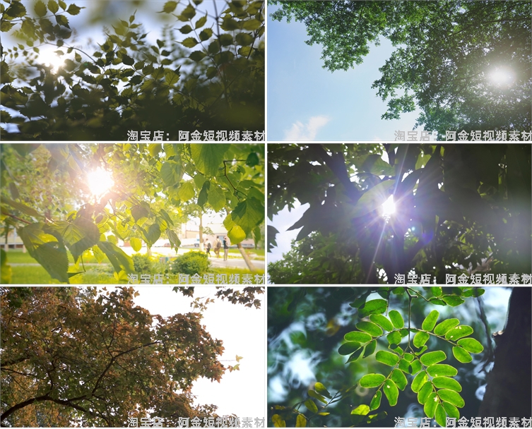 4K夏日阳光绿叶空境树叶小清新风景素材高清自然治愈系短视频背景