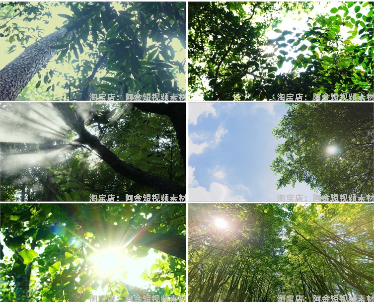 4K夏日阳光绿叶空境树叶小清新风景素材高清自然治愈系短视频背景