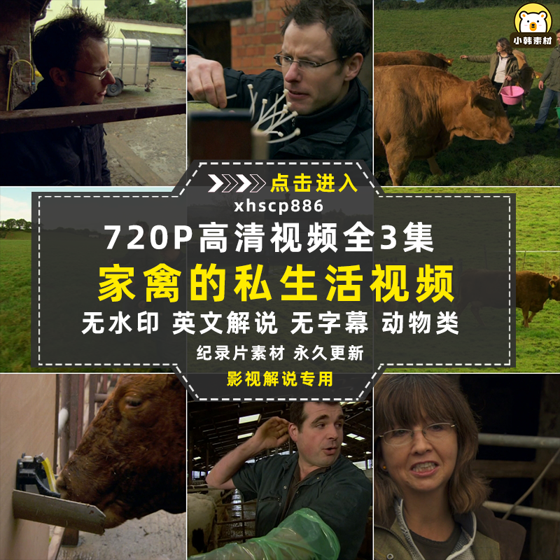 BBC动物驯养纪录片家禽家畜的私生活中视频自媒体解说高清视频