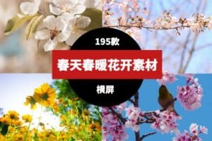 春天春暖花开鲜花盛开素材