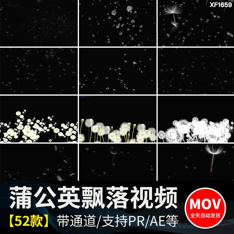 唯美蒲公英飞舞上升飘落漂浮特效后期合成带透明通道MOV视频素材