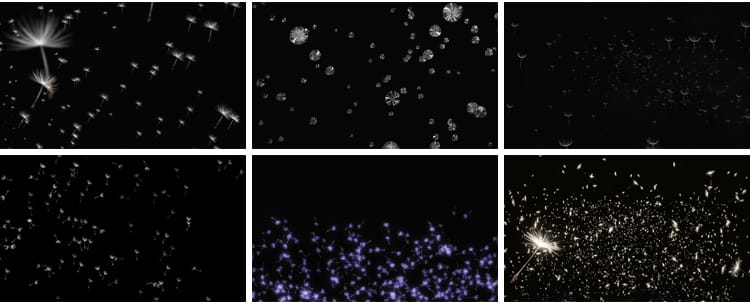 唯美蒲公英飞舞上升飘落漂浮特效后期合成带透明通道MOV视频素材