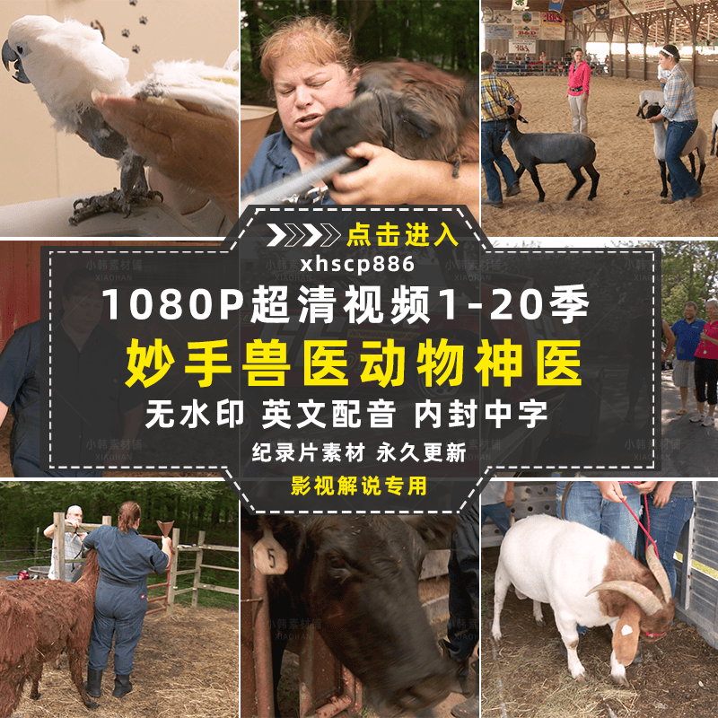妙手兽医纪录片动物神医1-20季自媒体快手抖音视频剪辑素材