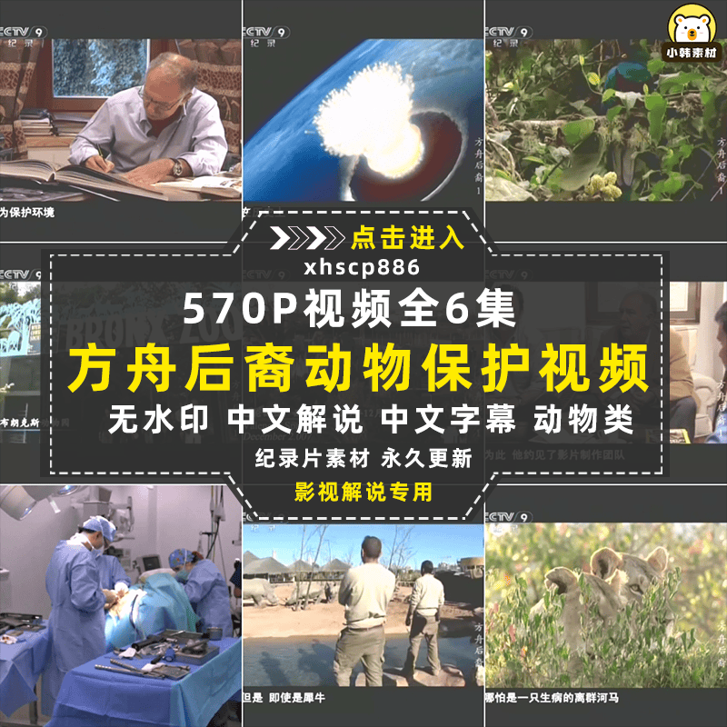 野生动物保护纪录片方舟后裔全6集中视频自媒体解说高清视频素材