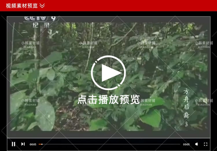 野生动物保护纪录片方舟后裔全6集中视频自媒体解说高清视频素材