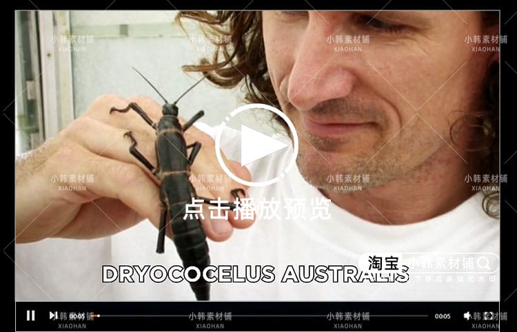 自然奇观纪录片全球奇葩岛屿1080P自媒体电影解说抖音短视频素材
