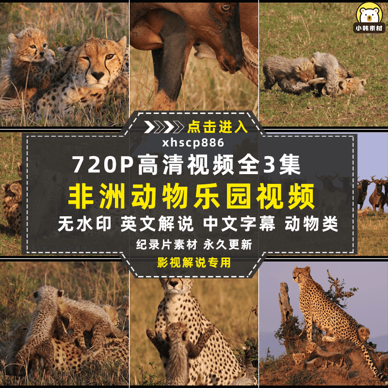野生动物纪录片非洲动物乐园全3集中视频自媒体解说高清视频素材