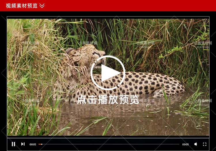 野生动物纪录片非洲动物乐园全3集中视频自媒体解说高清视频素材