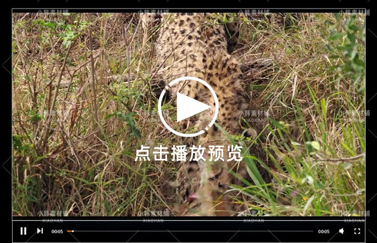 野生动物纪录片非洲动物乐园全3集中视频自媒体解说高清视频素材