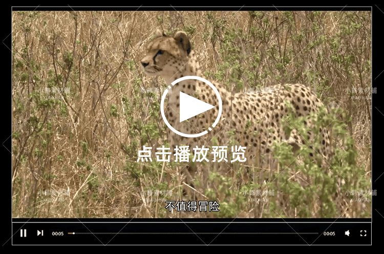 野生动物纪录片非洲动物乐园全3集中视频自媒体解说高清视频素材