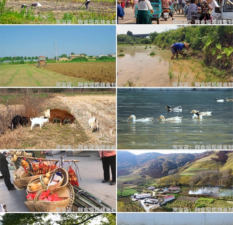 农村生活乡愁故乡怀旧风景素材高清旅游自然唯美治愈系短视频背景