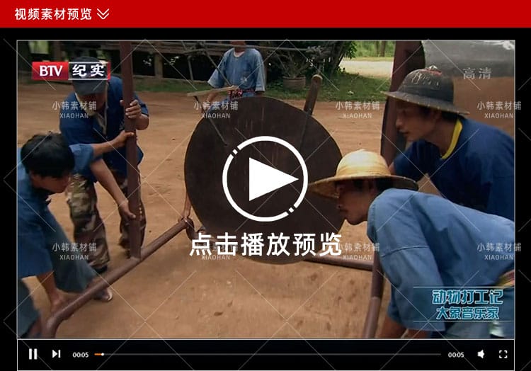 动物趣闻纪录片动物打工记全2季中视频自媒体解说高清视频素材