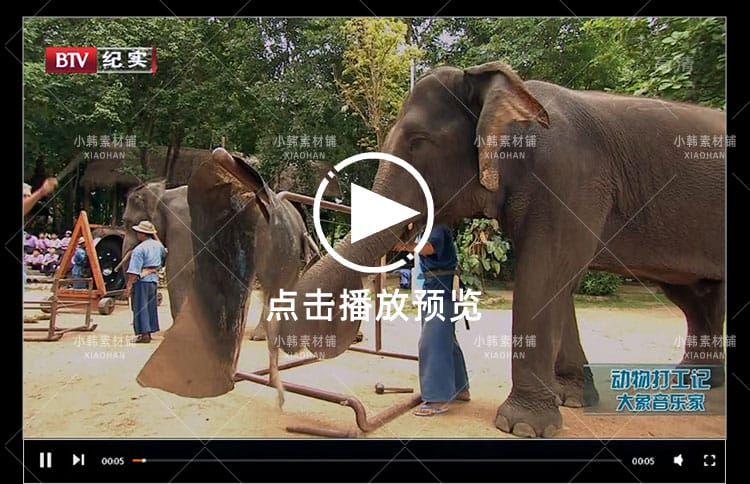 动物趣闻纪录片动物打工记全2季中视频自媒体解说高清视频素材