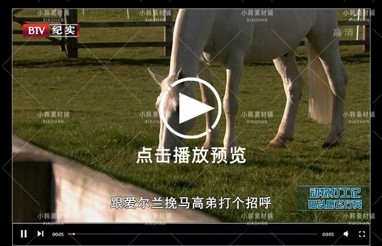 动物趣闻纪录片动物打工记全2季中视频自媒体解说高清视频素材