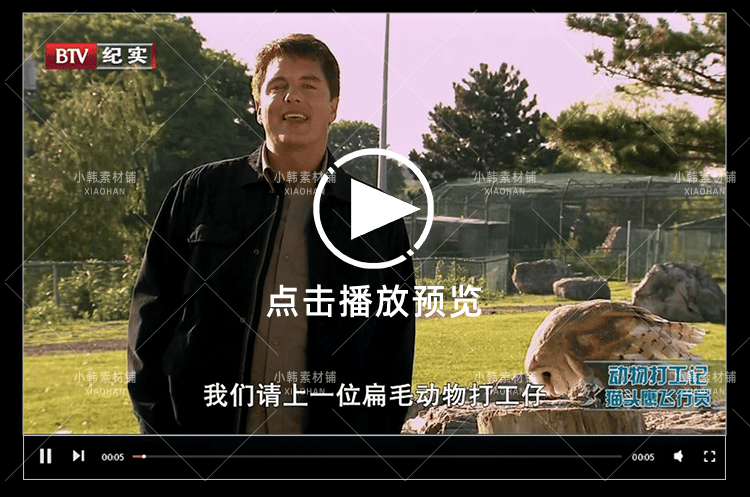 动物趣闻纪录片动物打工记全2季中视频自媒体解说高清视频素材