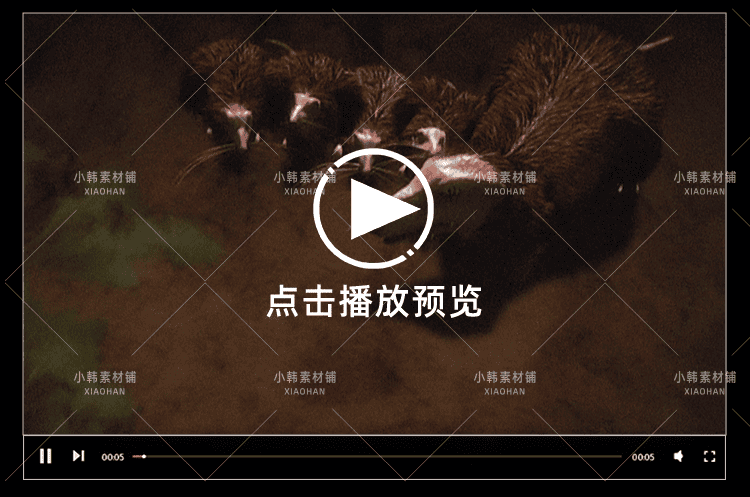 探索频道古生物纪录片动物的末日中视频自媒体解说高清视频素材