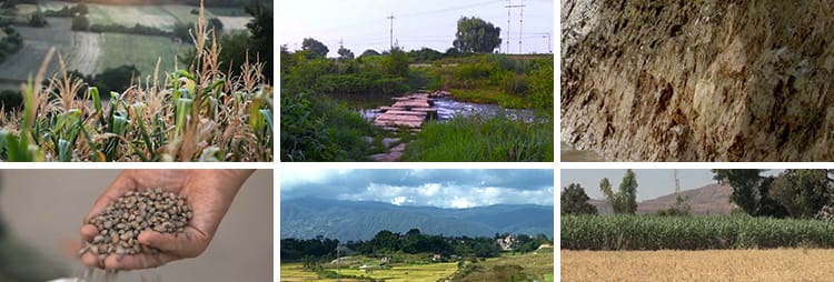 农村生活风景象风光故乡怀旧念旧家乡农民种植插秧庄稼短视频素材