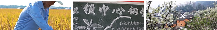 农村生活风景象风光故乡怀旧念旧家乡农民种植插秧庄稼短视频素材