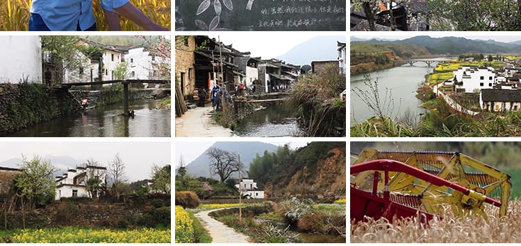 农村生活风景象风光故乡怀旧念旧家乡农民种植插秧庄稼短视频素材