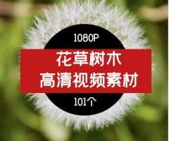 花草树木高清视频素材01