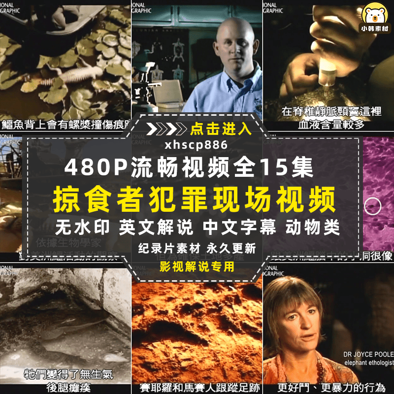 国家地理野生动物纪录片掠食者犯罪现场中视频自媒体解说视频素材