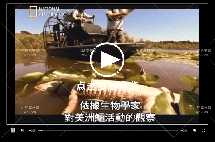 国家地理野生动物纪录片掠食者犯罪现场中视频自媒体解说视频素材