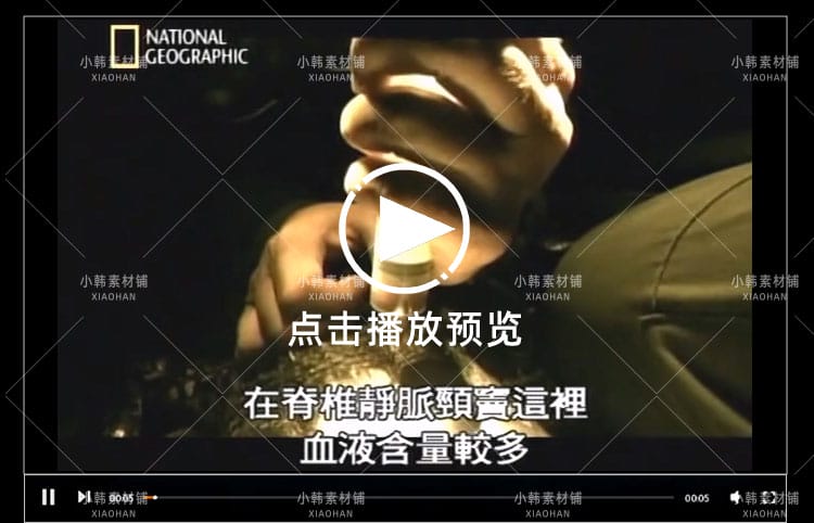 国家地理野生动物纪录片掠食者犯罪现场中视频自媒体解说视频素材