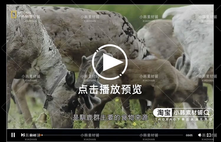求生纪录片原始求生记中字自媒体电影解说抖音短视频素材全17集