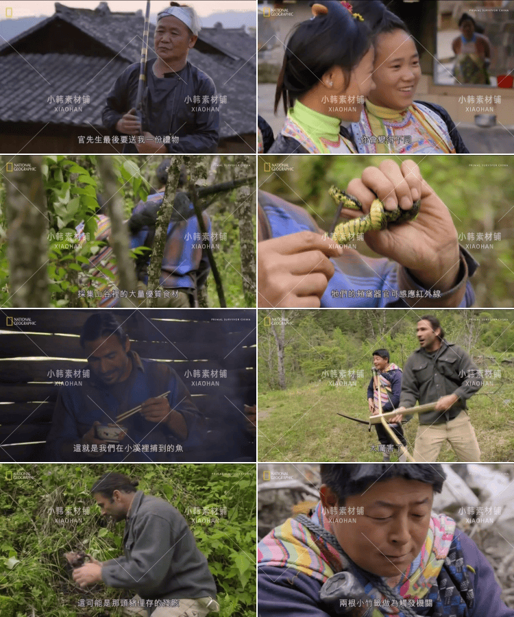 求生纪录片原始求生记中字自媒体电影解说抖音短视频素材全17集