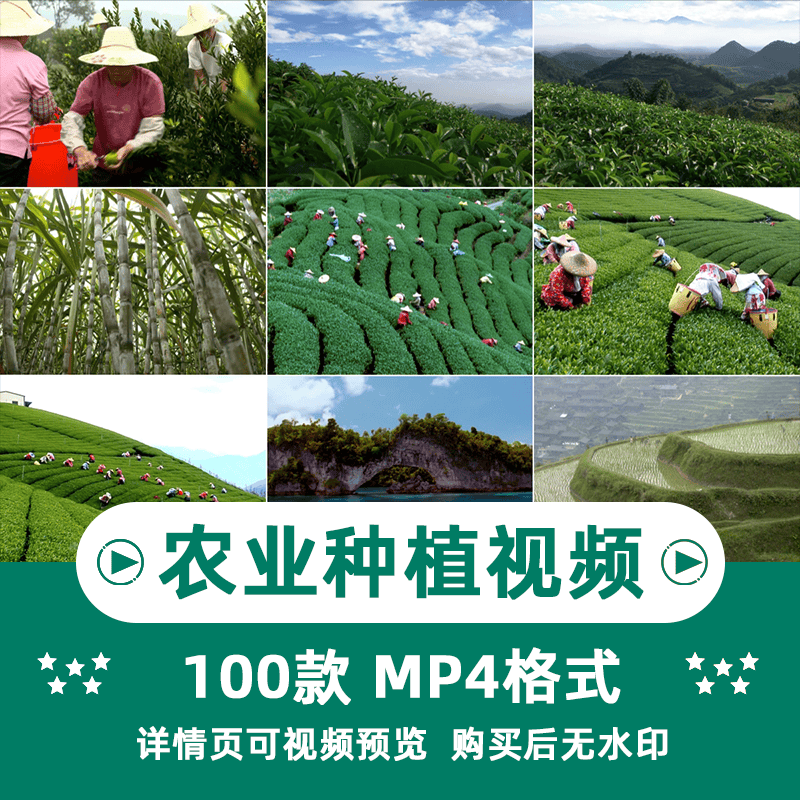 农业种植横版高清抖音自媒体pr剪辑背景视频素材