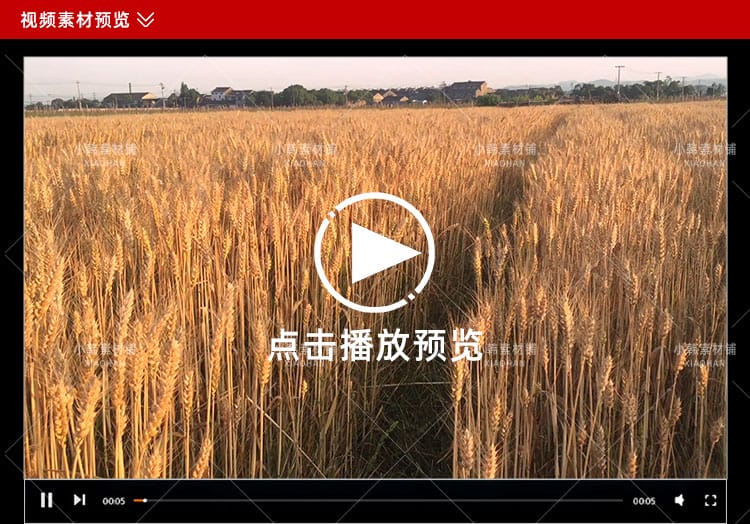 农业种植横版高清抖音自媒体pr剪辑背景视频素材