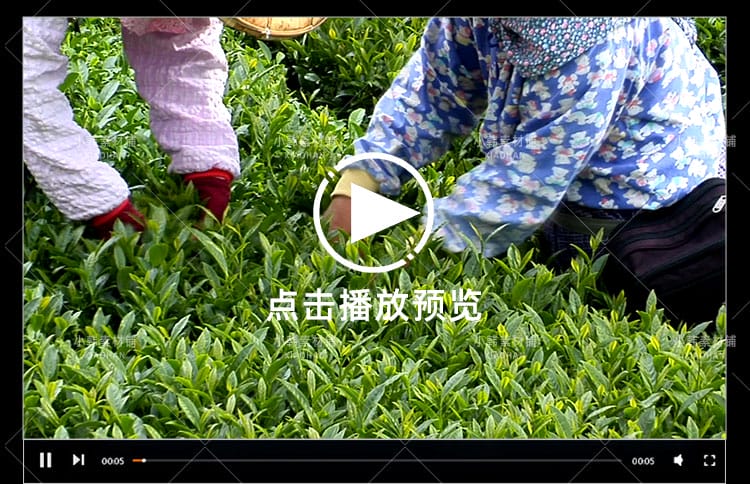 农业种植横版高清抖音自媒体pr剪辑背景视频素材