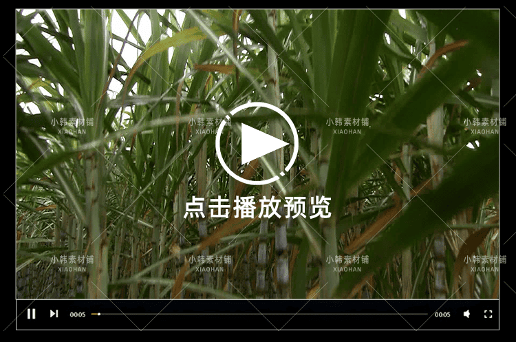 农业种植横版高清抖音自媒体pr剪辑背景视频素材