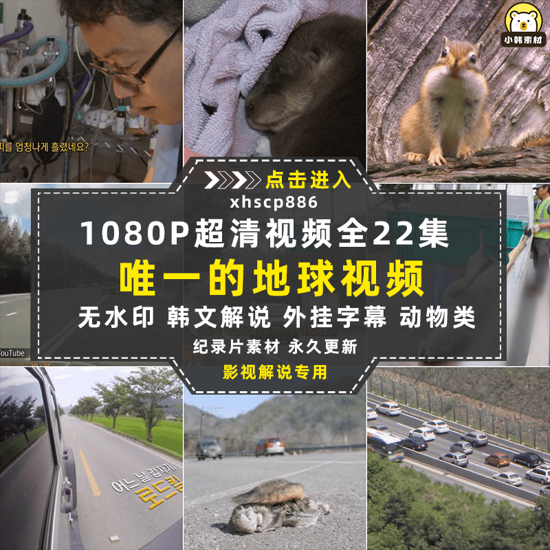 EBS动物生态保护纪录片全22集中视频自媒体解说高清剪辑视频素材