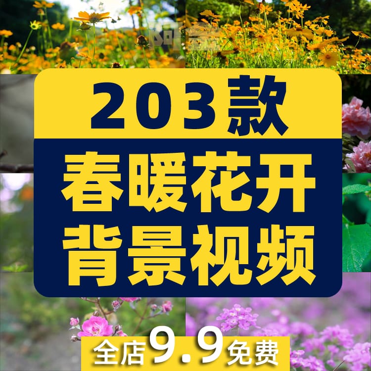 春暖花开花朵绽放花卉鲜花风景素材高清春天自然治愈系短视频背景